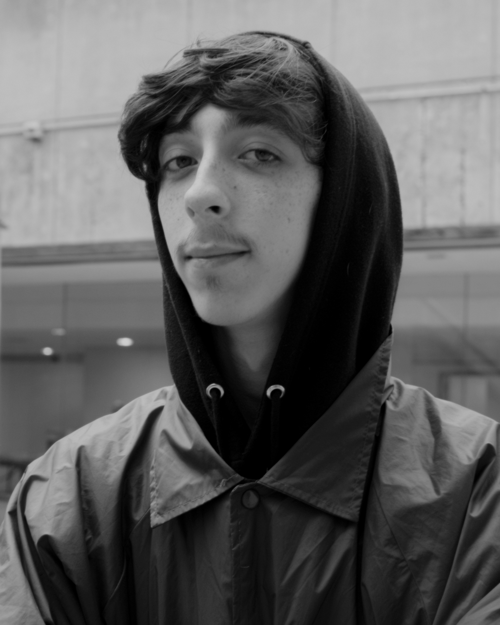 DanielRibar